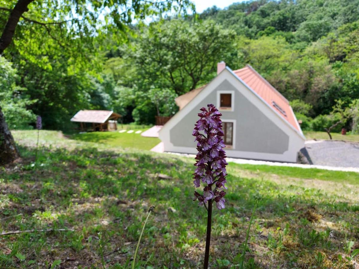Ferienwohnung Kosbor Vendeghaz Monoszlo Exterior foto