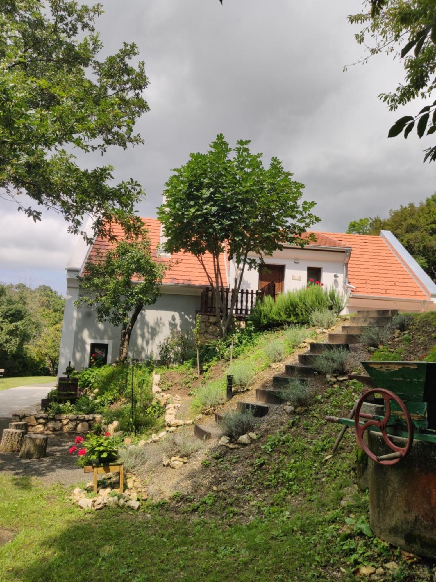 Ferienwohnung Kosbor Vendeghaz Monoszlo Exterior foto